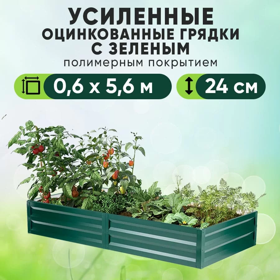 Зеленая усиленная грядка (0,6 х 5,6)